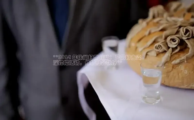 易游体育app下载雷柏科技**2024 年徐闻扫黄行动：严厉打击卖
淫嫖娼活动，维护社会秩序**