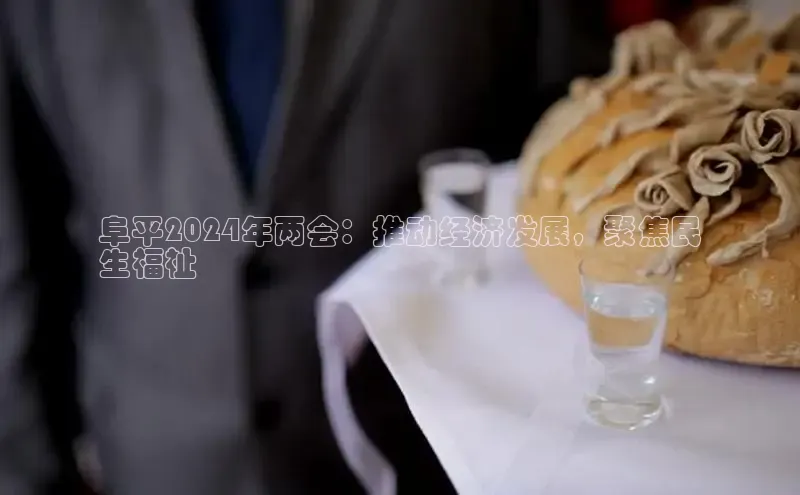 米乐·M6官网登录入口如流阜平2024年两会：推动经济发展，聚焦民
生福祉