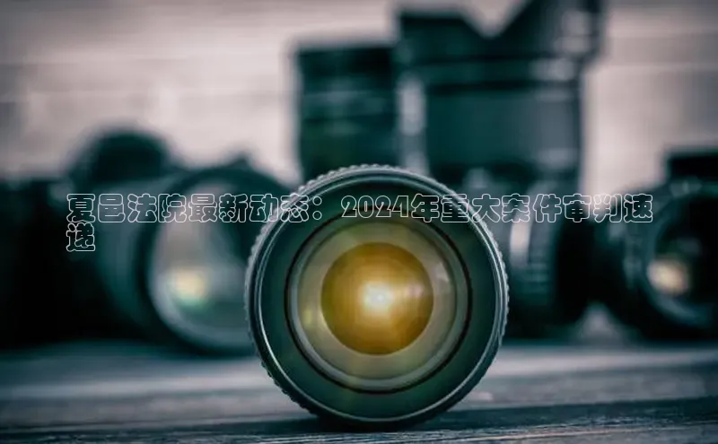 米乐易游app下载百度教育夏邑法院最新动态：2024年重大案件审判速
递