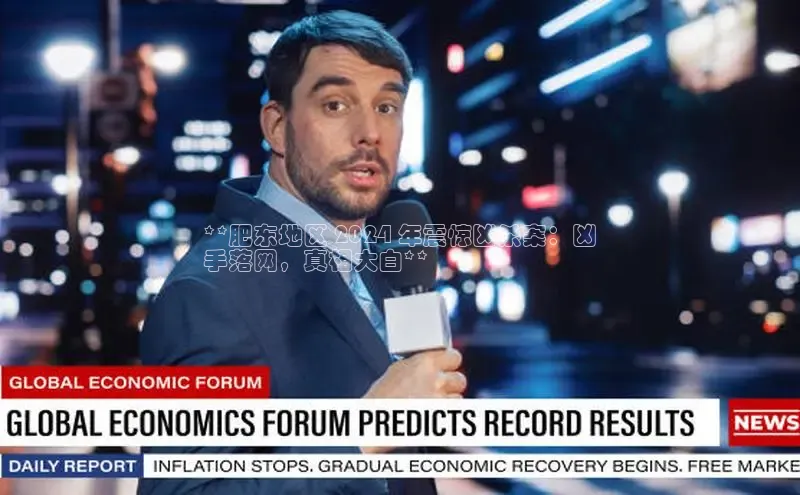 米乐·M6官网登录入口慧博云通**肥东地区 2024 年震惊凶杀案：凶
手落网，真相大白**