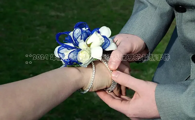 米乐m6小罗代言诸葛科技**2024 年南京新闻：全面深入南京的最新事件
**