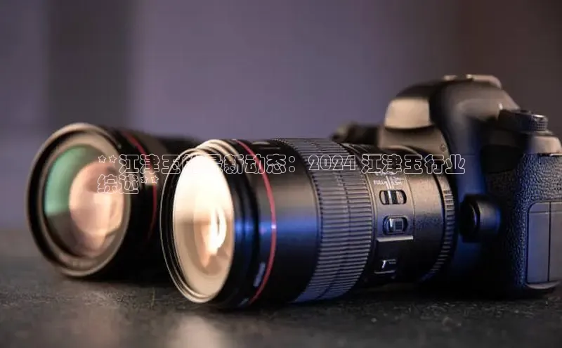 YY易游体育网址百度智能云**江津玉的最新动态：2024 江津玉行业
综述**