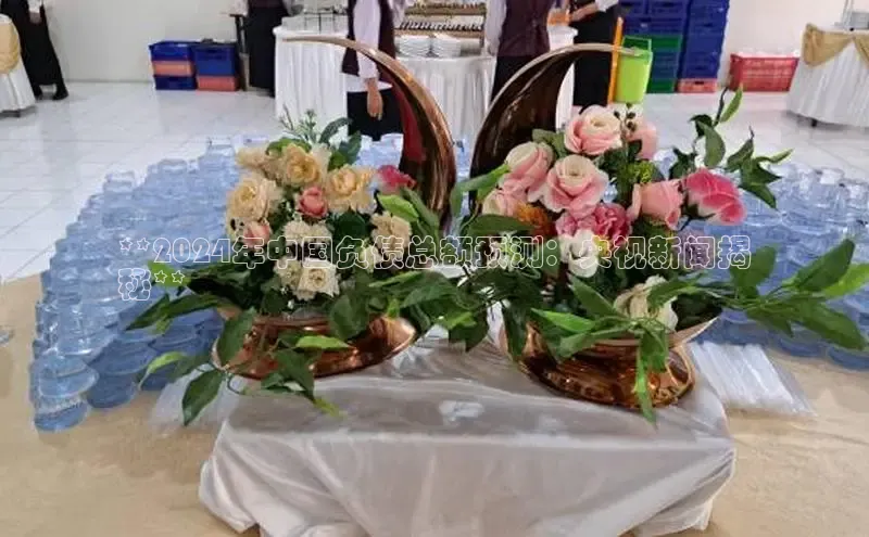 米乐m6网页版登录入口携程**2024年中国负债总额预测：央视新闻揭
秘**