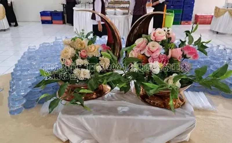 YY易游体育app下载百度取证阳东新闻：探析 2024 年阳东区的重大
发展和创新