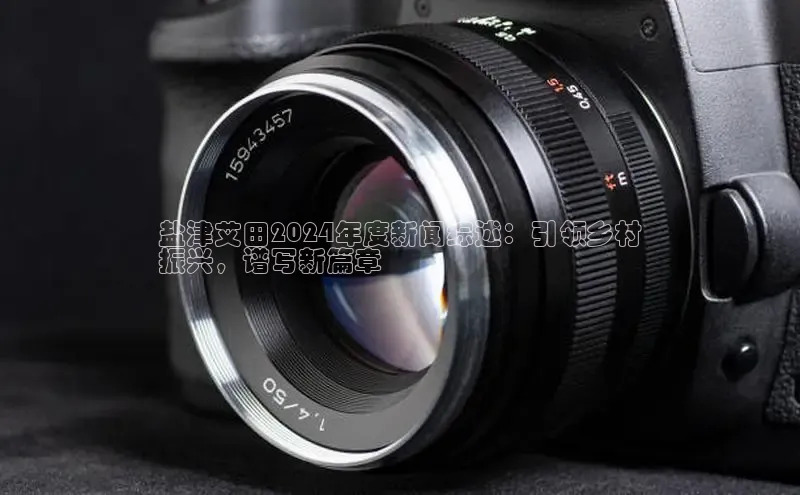 m6yy易游百度翻译