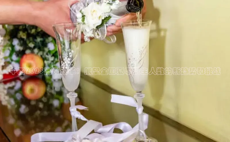 中国2025高考改革：展望全国夏季招生人数的新趋势和挑战