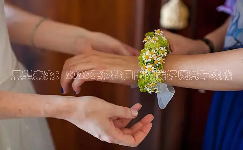 展望未来：2025年海盐日出的美好愿景与实践