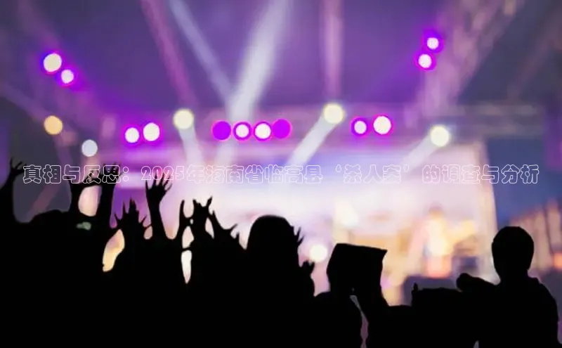 真相与反思：2025年海南省临高县‘杀人案’的调查与分析