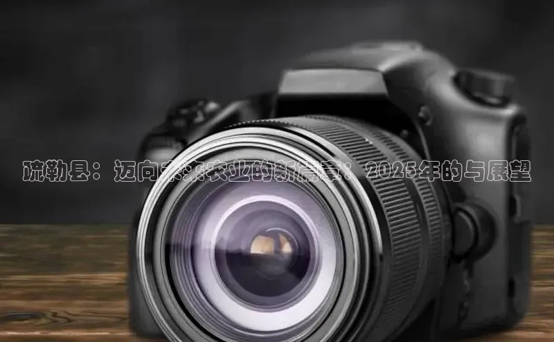 疏勒县：迈向未来农业的新篇章：2025年的与展望