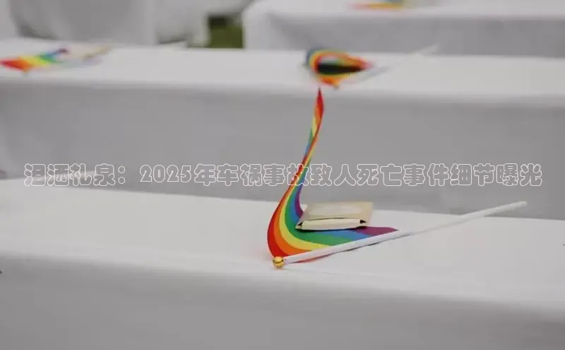 泪洒礼泉：2025年车祸事故致人死亡事件细节曝光