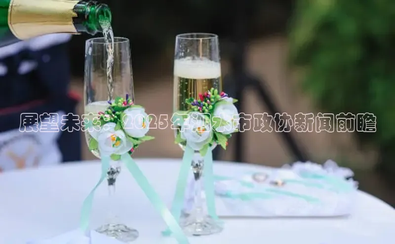 展望未来：2025年泗水市政协新闻前瞻