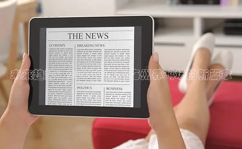 未来趋势：2025年展望梅州养鸡场的新篇章