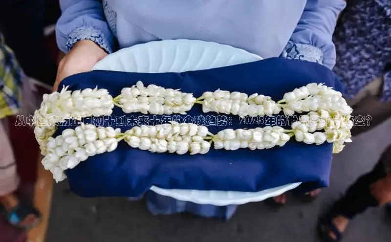 从中国农历正月初十到未来十年的全球趋势：2025年的世界将如何演变？