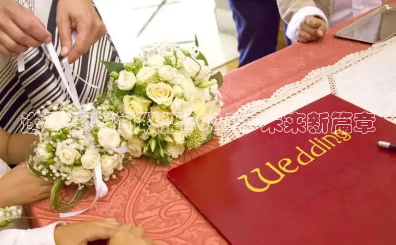 遂平县新闻联播2025：未来新篇章