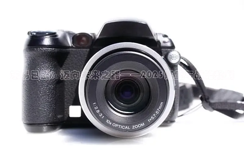 东易日盛：迈向未来之路——2025展望与战略规划