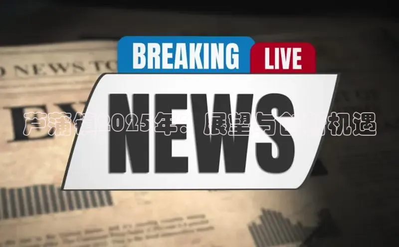 芦蒲镇2025年：展望与创新机遇