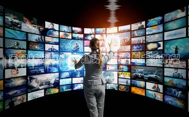 家暴新闻2025：趋势、挑战与未来展望