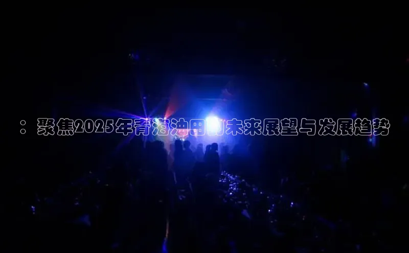 ：聚焦2025年青海油田的未来展望与发展趋势